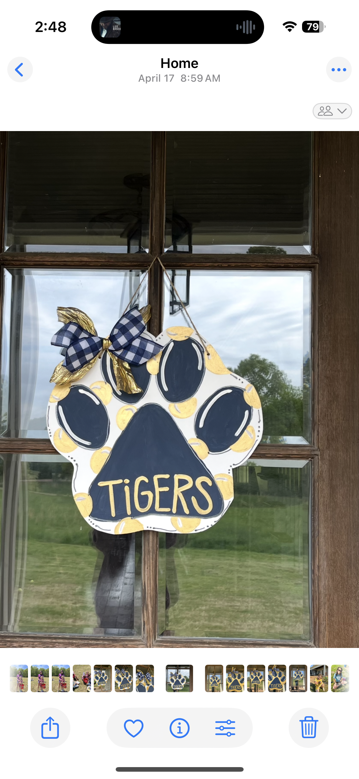 White Tigers Door Hanger