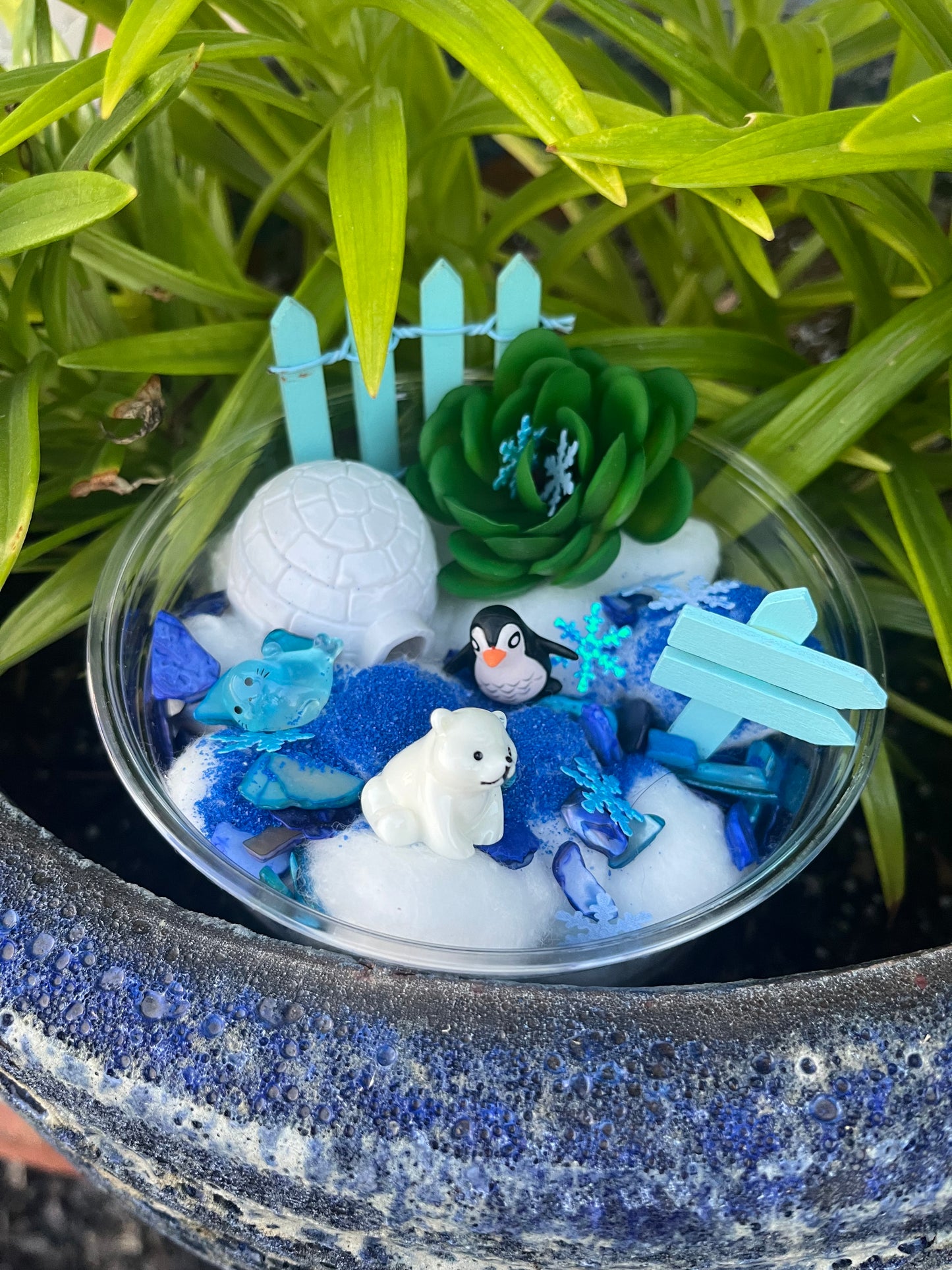 ARCTIC Fairy Garden