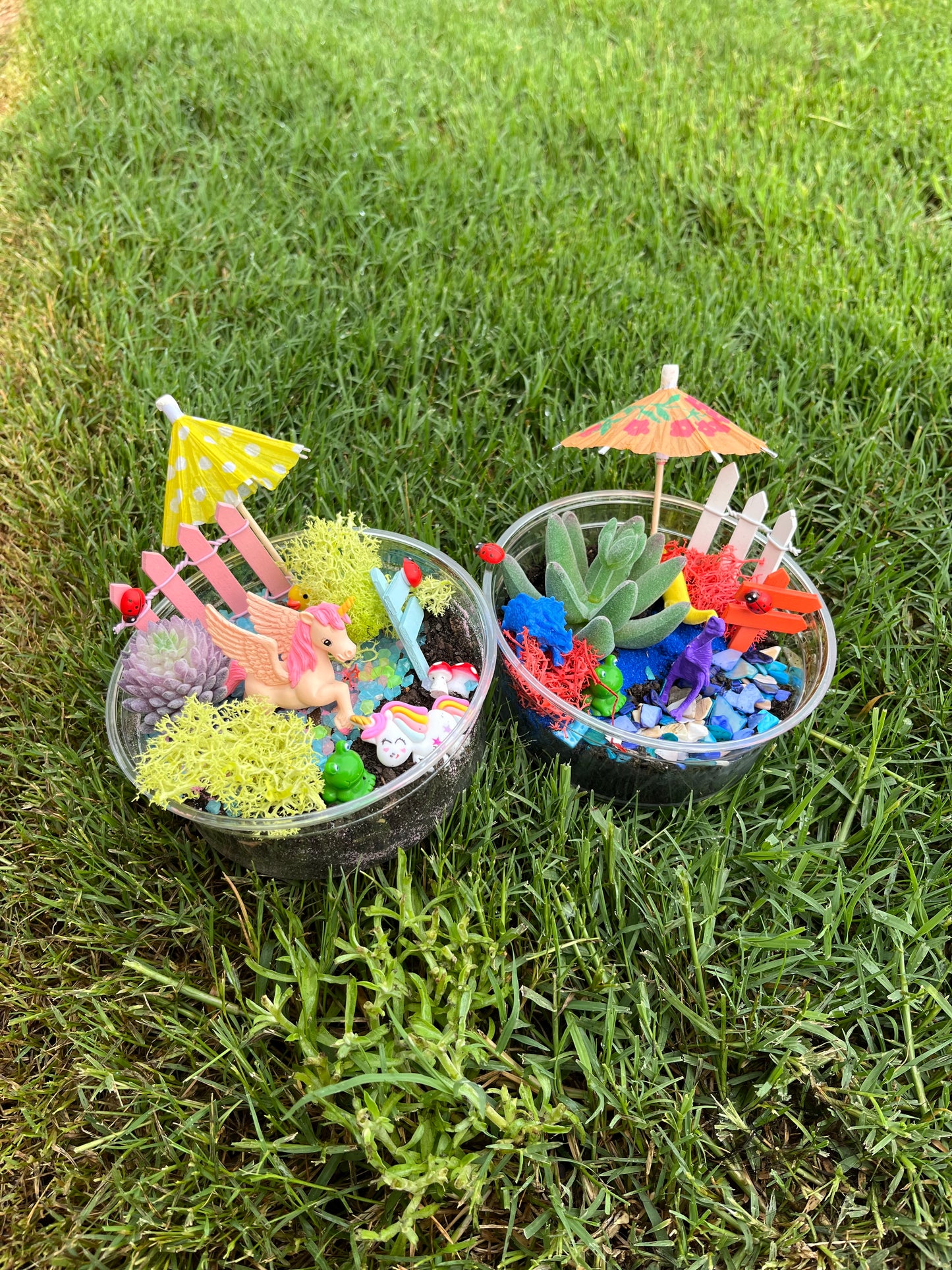 Dinosaur Fairy Garden