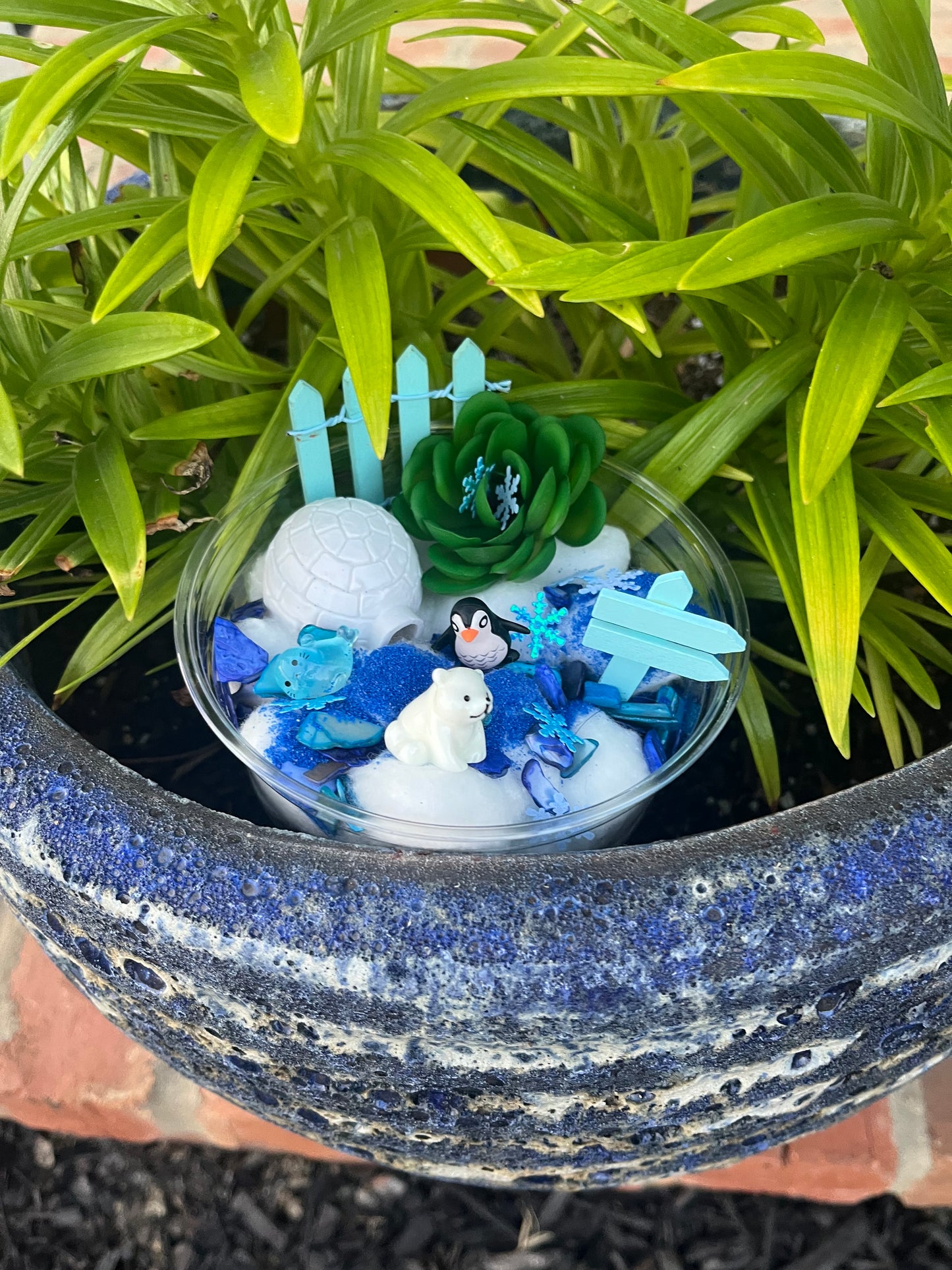 ARCTIC Fairy Garden