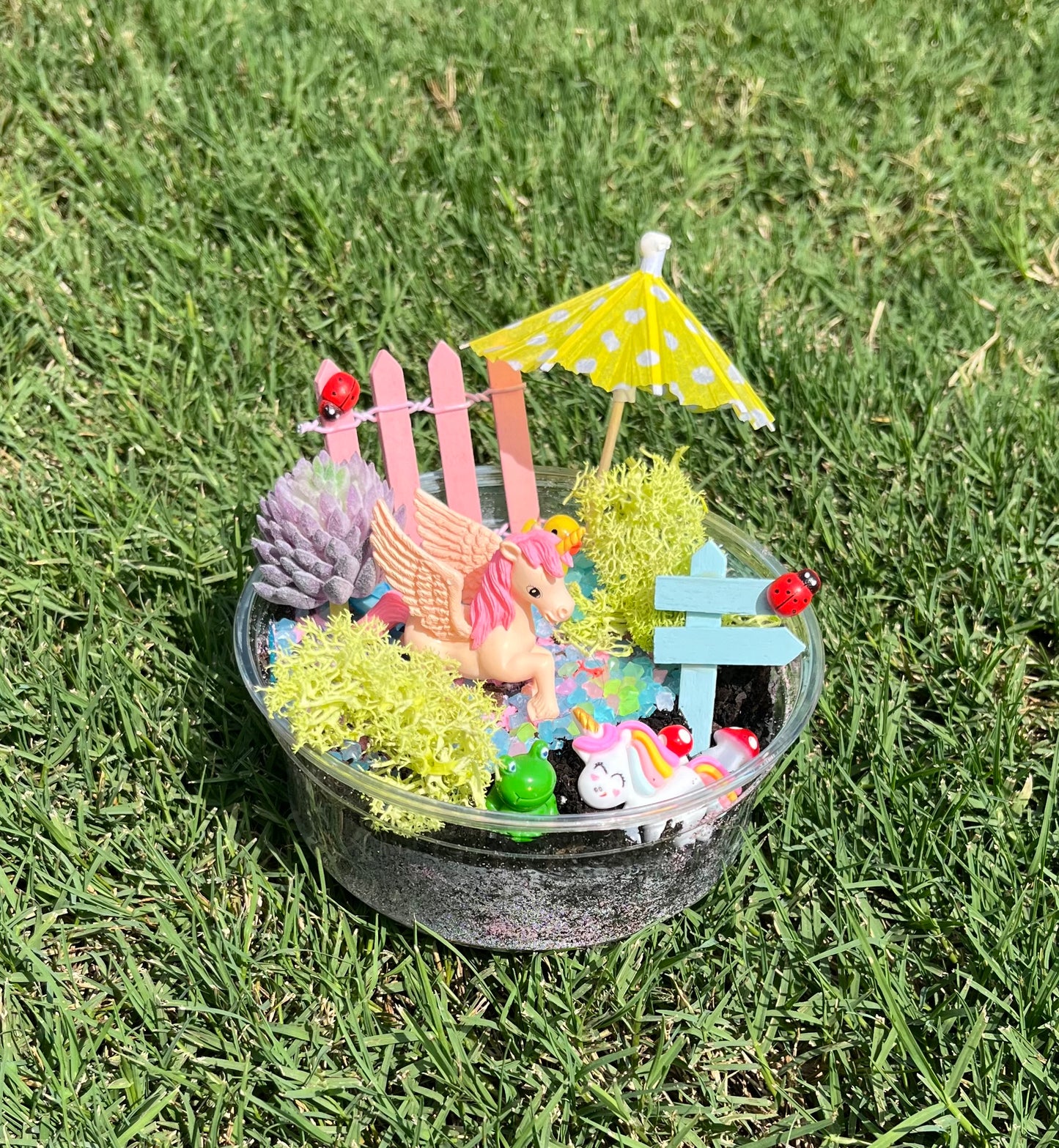Unicorn Fairy Garden